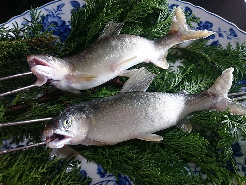 佐賀の大幸園の川魚料理は、福岡からの大人の贅沢ドライブにピッタリ！